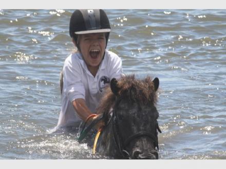 Gold Coast Equestrian Centre Gold Coast Equestrian Centre