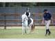 Gold Coast Equestrian Centre Gold Coast Equestrian Centre