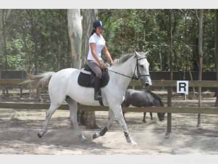 Gold Coast Equestrian Centre Gold Coast Equestrian Centre