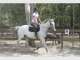 Gold Coast Equestrian Centre Gold Coast Equestrian Centre