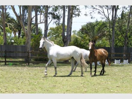 Gold Coast Equestrian Centre Gold Coast Equestrian Centre