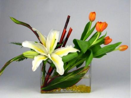 Gold Coast Florist. com.au Gold Coast Florist. com.au