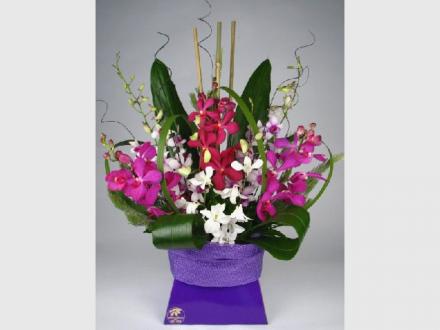 Gold Coast Florist. com.au Gold Coast Florist. com.au