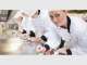 Gold Coast Job Help Gold Coast Job Help