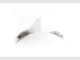 Gold Coast Photography Studio Gold Coast Photography Studio