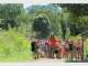 Hosanna Farmstay - Farmstays & Camping QLD Hosanna Farmstay - Farmstays & Camping QLD