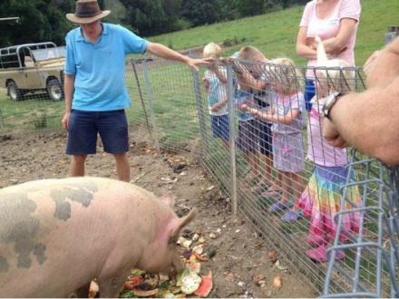 Hosanna Farmstay - Farmstays & Camping QLD Hosanna Farmstay - Farmstays & Camping QLD