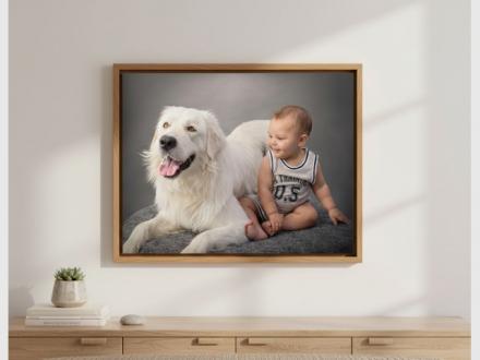 James Thomson Pet Photography