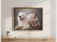 James Thomson Pet Photography