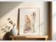 James Thomson Pet Photography