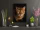 James Thomson Pet Photography