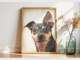James Thomson Pet Photography
