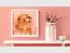 James Thomson Pet Photography