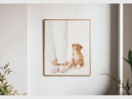 James Thomson Pet Photography