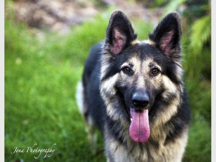 Jona Photography