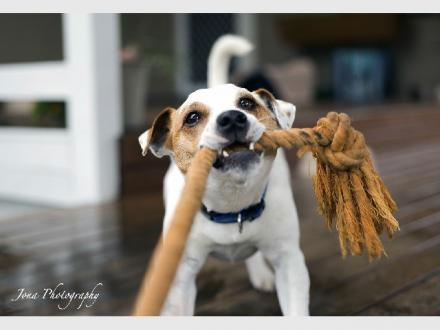 Jona Photography