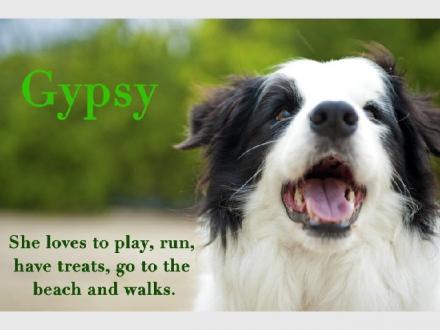 Jona Photography Jona Photography