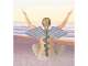 Julie Kay Psychic Medium Healer Teacher & Author Julie Kay Psychic Medium Healer Teacher & Author