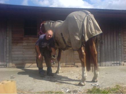 Kew Forge Farrier Service