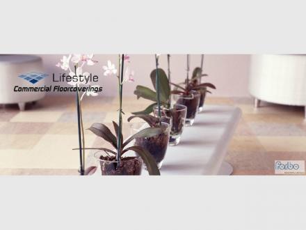 Lifestyle Commercial Floorcoverings Lifestyle Commercial Floorcoverings