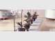 Lifestyle Commercial Floorcoverings Lifestyle Commercial Floorcoverings