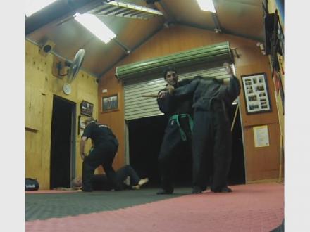Martial Life Skills Bujinkan Ninjutsu 