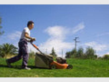Mick & Tom's Property Maintenance