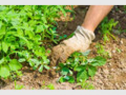 Mick & Tom's Property Maintenance