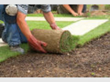 Mick & Tom's Property Maintenance
