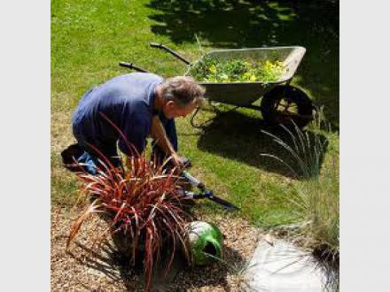 Mick & Tom's Property Maintenance