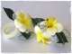 Mika's Floral Designs - Beautiful Silk Flowers