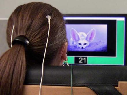Neurofeedback Therapy Gold Coast Neurofeedback Therapy Gold Coast