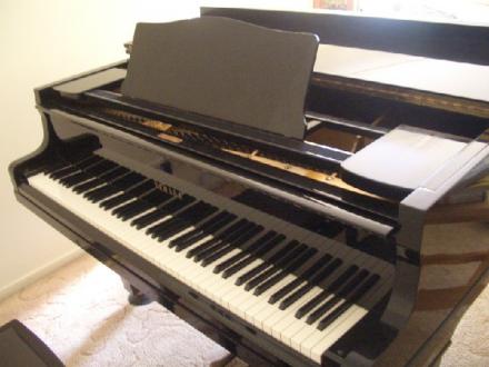 Piano Lessons Piano Lessons