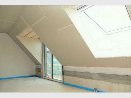 Plasterer Brisbane Plasterer Brisbane