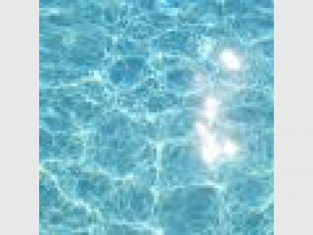 Pool Safety Inspections Pool Safety Inspections
