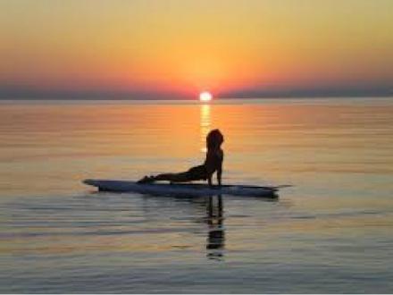 Prime Mover Pilates & Wellness Coaching Prime Mover Pilates & Wellness Coaching