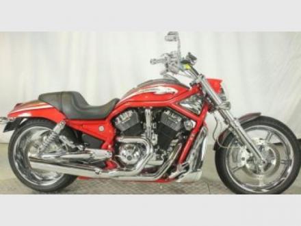 Quality Harleys