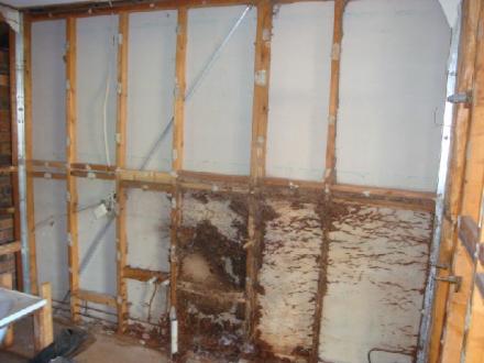 Quintessential Building - Termite Repair Specialist Quintessential Building - Termite Repair Specialist