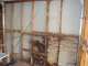Quintessential Building - Termite Repair Specialist Quintessential Building - Termite Repair Specialist