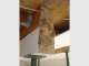 Quintessential Building - Termite Repair Specialist Quintessential Building - Termite Repair Specialist