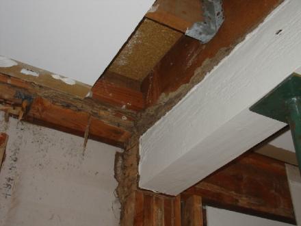 Quintessential Building - Termite Repair Specialist Quintessential Building - Termite Repair Specialist