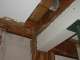 Quintessential Building - Termite Repair Specialist Quintessential Building - Termite Repair Specialist