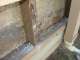 Quintessential Building - Termite Repair Specialist Quintessential Building - Termite Repair Specialist