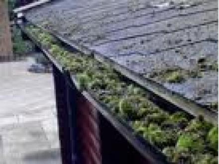 Roof Gutter Cleaning Roof Gutter Cleaning
