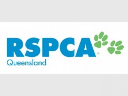 RSPCA Qld RSPCA Qld