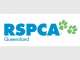 RSPCA Qld