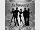 Schmooze Business Networking