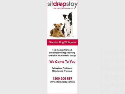 Sitdropstay