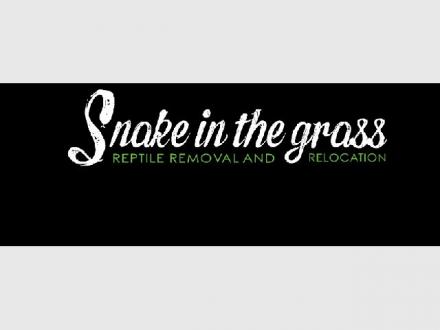 Snake In The Grass Reptile Removal and Relocation Snake In The Grass Reptile Removal and Relocation