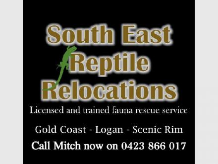 South East Reptile Relocations South East Reptile Relocations
